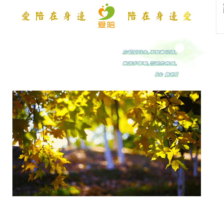 秋清歲即晚，吾道終何成？--共享陪護床為何而生